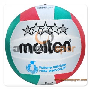 Molten Volleyball Ball V140